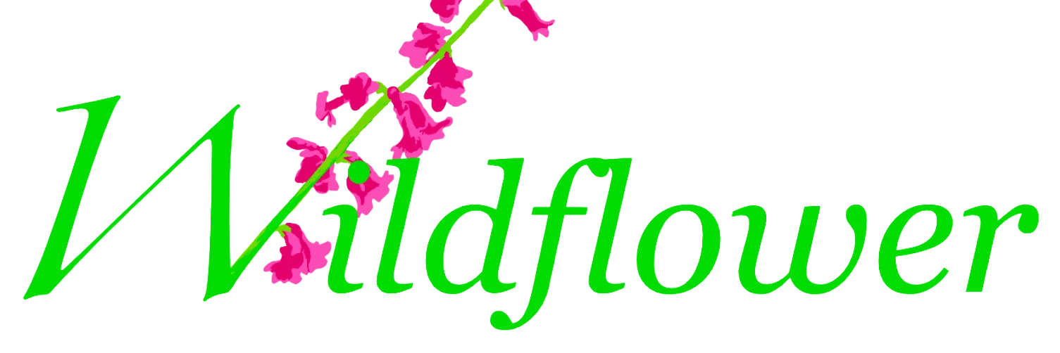 Wildflower Travel & Wellness Clinic