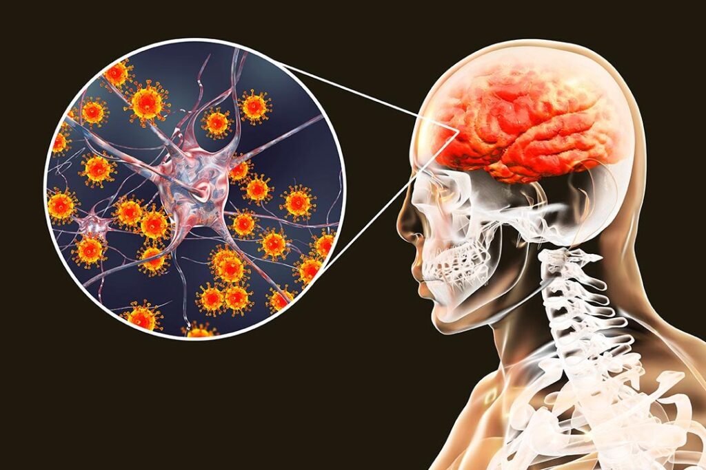 Illustration of Japanese encephalitis virus affecting the brain