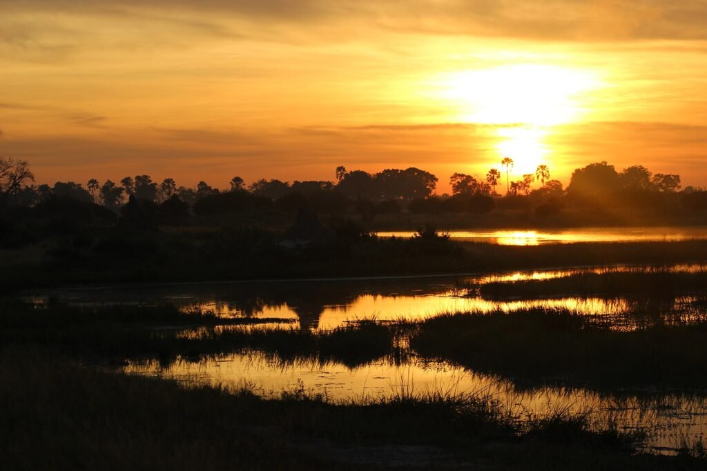 Sunrise over the Okavango Delta wetlands