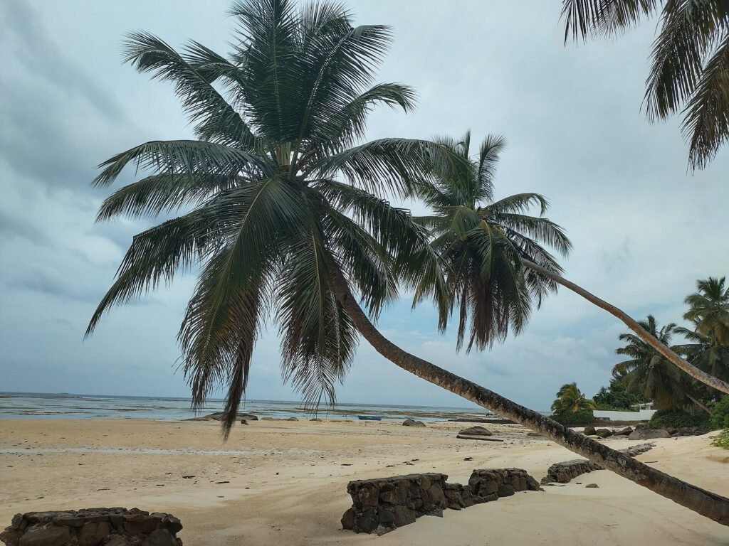 Island coastline in the Seychelles